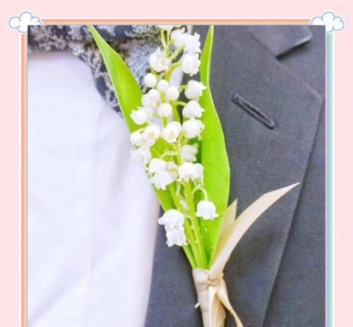手捧花加铃兰代表什么？铃兰在手捧花中的寓意是什么？