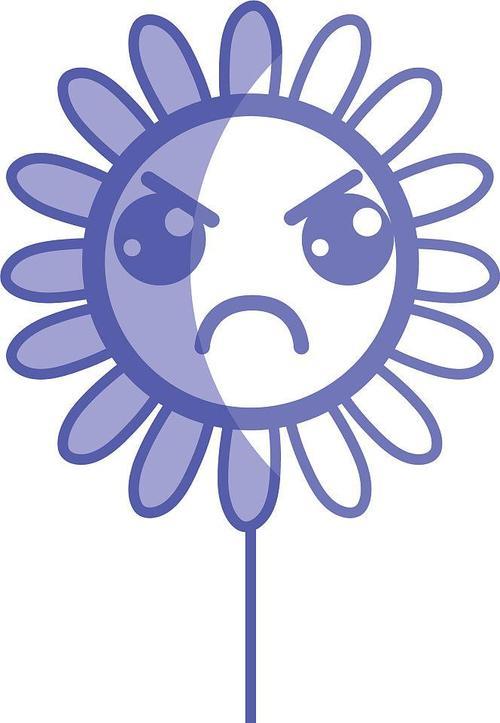 哪种颜色的花象征愤怒？