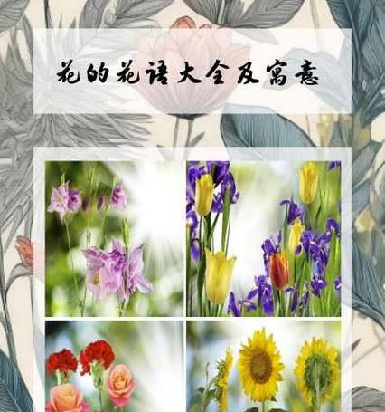 花的寓意和花语如何表达爱情？