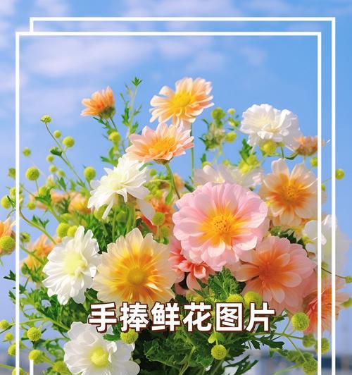 送医院的手捧花有何寓意？医院中手捧花的意义是什么？