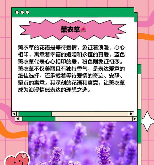 花如何代表爱情？各自的含义是什么？