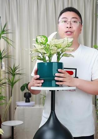 如意花的含义是什么？它寓意着什么？